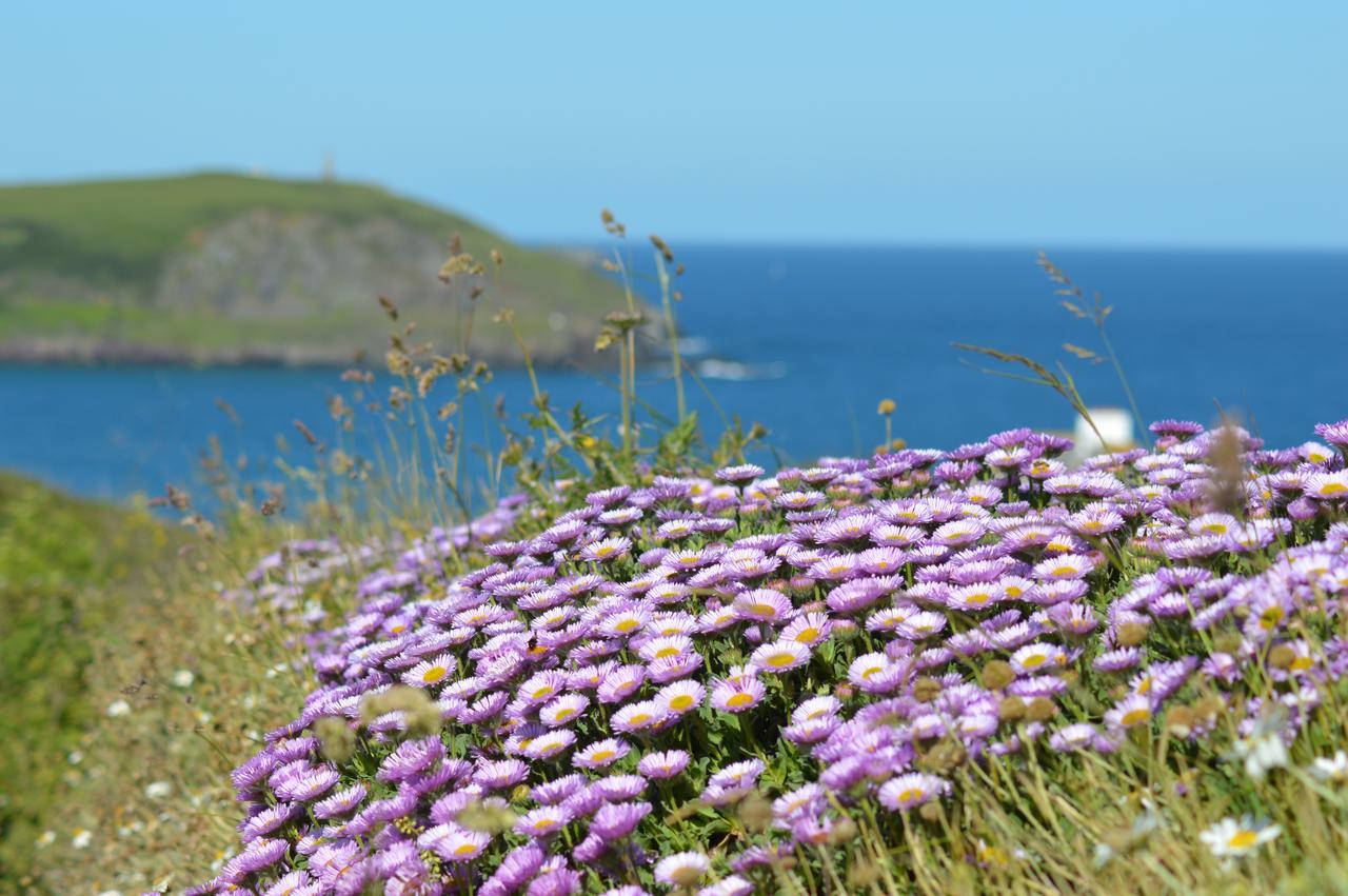 St Moritz And Cowshed Hotel Polzeath